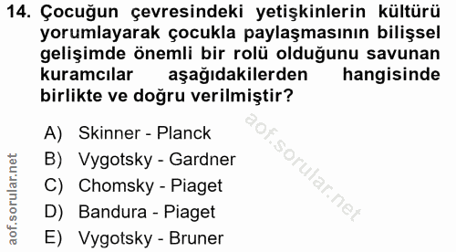 14. soru: Çocuğun çevresindeki yetişkinlerin kültürü yorumlayarak çocukla paylaşmasının bilişsel gelişimde önemli bir rolü oldu…