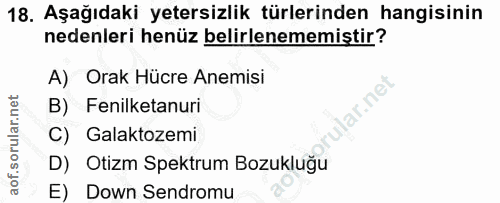 18. soru: Aşağıdaki yetersizlik türlerinden hangisinin nedenleri henüz belirlenememiştir? A) Orak Hücre Anemisi ir.ne B) Fenilk…