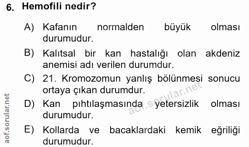 6. soru: Hemofili nedir? A) Kafanın normalden büyük olması durumudur. B) Kalıtsal bir kan hastalığı olan akdeniz anemisi adı v…