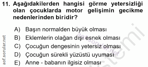 11. soru: Aşağıdakilerden hangisi görme yetersizliği olan çocuklarda motor gelişimin gecikme nedenlerinden biridir? A) Başın no…