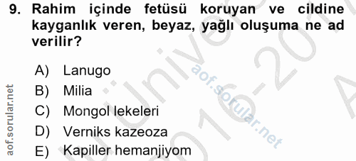 9. soru: Rahim içinde fetüsü koruyan ve cildine kayganlık veren, beyaz, yağlı oluşuma ne ad verilir? A) Lanugo B) Milia C) Mon…