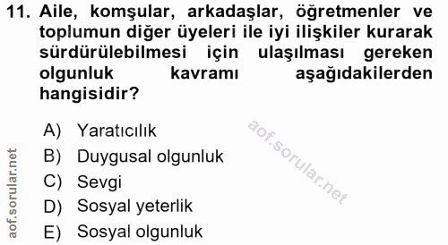 11. soru: Aile, komşular, arkadaşlar, öğretmenler ve toplumun diğer üyeleri ile iyi ilişkiler kurarak sürdürülebilmesi için ula…