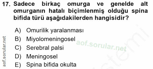 17. soru: Sadece birkaç omurga ve genelde alt omurganın hatalı biçimlenmiş olduğu spina bifida türü aşağıdakilerden hangisidir?…