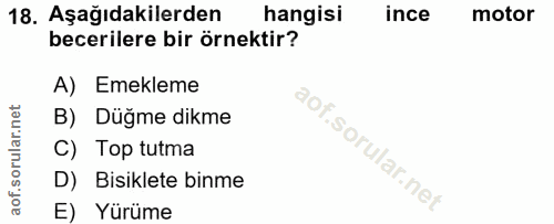 18. soru: Aşağıdakilerden hangisi ince motor becerilere bir örnektir? A) Emekleme B) Düğme dikme C) Top tutma D) Bisiklete binm…