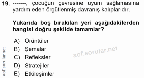 19. soru: -- çocuğun çevresine uyum sağlamasına yardım eden örgütlenmiş davranış kalıplarıdır. Yukarıda boş bırakılan yeri aşağ…