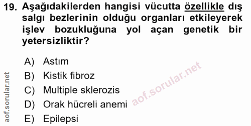 19. soru: Aşağıdakilerden hangisi vücutta özellikle dış salgı bezlerinin olduğu organları etkileyerek işlev bozukluğuna yol aça…