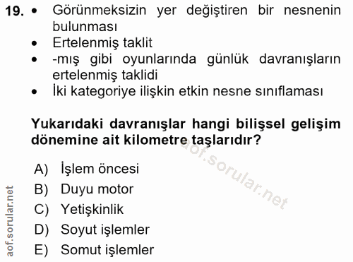 19. soru: • Görünmeksizin yer değiştiren bir nesnenin bulunması : mig gibí oyunlarında günlük davranışların Ertelenmiş taklit e…