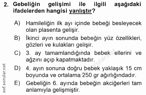 2. soru: Gebeliğin gelişimi ile ilgili aşağıdaki ifadelerden hangisi yanlıştır? A) Hamileliğin ilk ayı içinde bebeği besleyece…