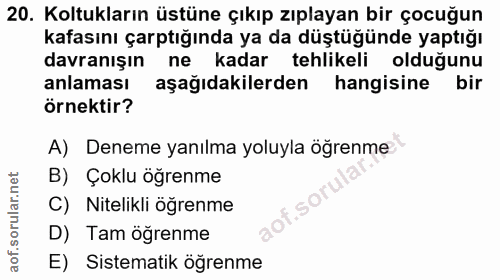 20. soru: Koltukların üstüne çıkıp zıplayan bir çocuğun kafasını çarptığında ya da düştüğünde yaptığı davranışın ne kadar tehli…