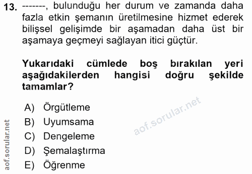 13. soru: ---- bulunduğu her durum ve zamanda daha fazla etkin şemanın üretilmesine hizmet ederek bilişsel gelişimde bir aşamad…