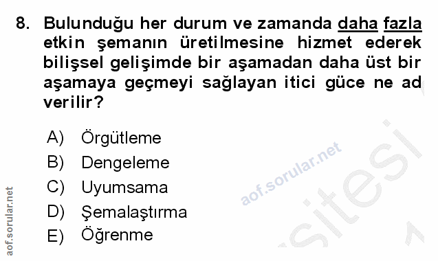 8. soru: Bulunduğu her durum ve zamanda daha fazla etkin şemanın üretilmesine hizmet ederek bilişsel gelişimde bir aşamadan da…
