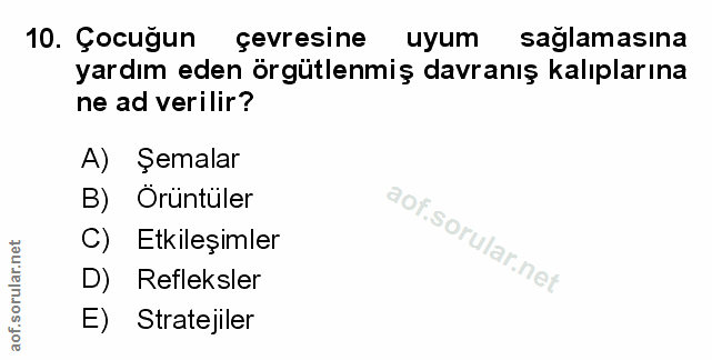 10. soru: Çocuğun çevresine uyum sağlamasına yardım eden örgütlenmiş davranış kalıplarına ne ad verilir? A) Şemalar B) Örüntüle…