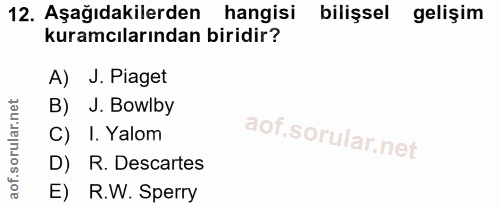 12. soru: Aşağıdakilerden hangisi bilişsel gelişim kuramcılarından biridir? A) J. Piaget B) J. Bowiby C) I. Yalom D) R. Descart…