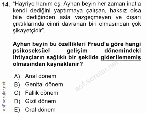 14. soru: "Hayriye hanım eşi Ayhan beyin her zaman inatla kendi dediğini yaptırmaya çalışan, haksız olsa bile dediğinden asla v…