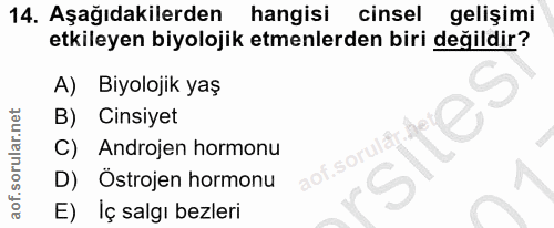 14. soru: Aşağıdakilerden hangisi cinsel gelişimi etkileyen biyolojik etmenlerden biri değildir? A) Biyolojik yaş B) Cinsiyet C…