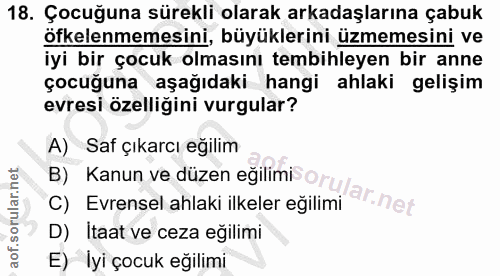 18. soru: Çocuğuna sürekli olarak arkadaşlarına çabuk öfkelenmemesini, büyüklerini üzmemesini ve iyi bir çocuk olmasını tembihl…