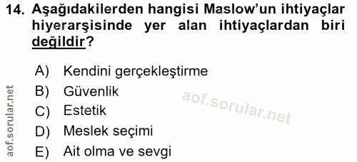 14. soru: Aşağıdakilerden hangisi Maslow'un ihtiyaçlar hiyerarşisinde yer alan ihtiyaçlardan biri değildir? A) Kendini gerçekle…