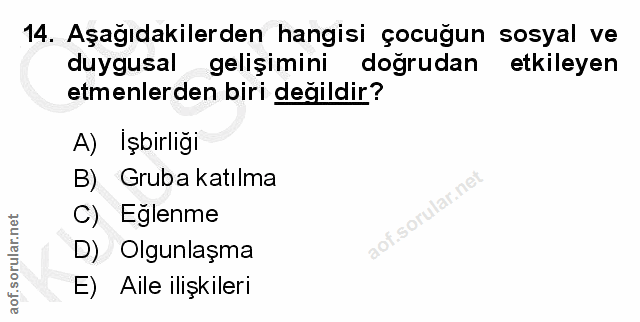 14. soru: Aşağıdakilerden hangisi çocuğun sosyal ve duygusal gelişimini doğrudan etkileyen etmenlerden biri değildir? A) İşbirl…