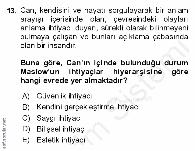 13. soru: Can, kendisini ve hayatı sorgulayarak bir anlam arayışı içerisinde olan, çevresindeki olayları anlama ihtiyacı duyan,…