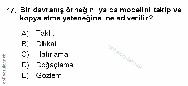 17. soru: Bir davranış örneğini ya da modelini takip ve kopya etme yetenegine ne ad verilir? A) Taklit B) Dikkat Hatırlama D) D…