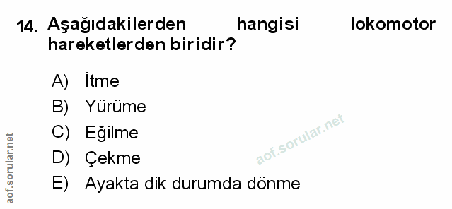 14. soru: Aşağıdakilerden hangisi lokomotor hareketlerden biridir? A) Itme B) Yürüme C) Egilme D) Çekme E) Ayakta dik durumda d…