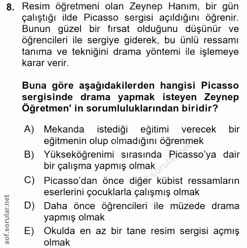8. soru: Resim öğretmeni olan Zeynep Hanım, bir gün çalıştığı ilde Picasso sergisi açıldığını ögrenir. Bunun güzel bir fırsat…