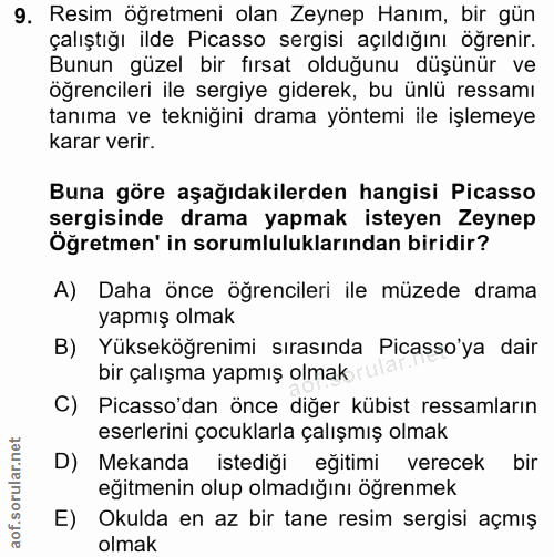 9. soru: Resim öğretmeni olan Zeynep Hanım, bir gün çalıştığı ilde Picasso sergisi açıldığını ögrenir. Bunun güzel bir fırsat…