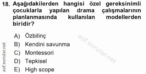 18. soru: Aşağıdakilerden hangisi özel gereksinimli çocuklarla yapılan drama çalışmalarının planlanmasında kullanılan modellerd…