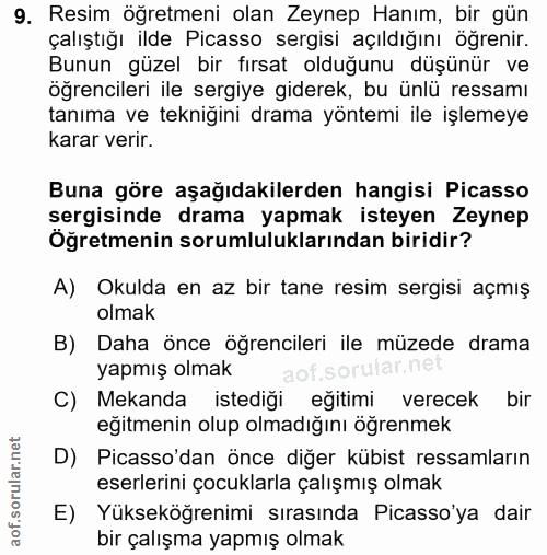 9. soru: Resim öğretmeni olan Zeynep Hanım, bir gün çalıştığı ilde Picasso sergisi açıldığını ögrenir. Bunun güzel bir fırsat…