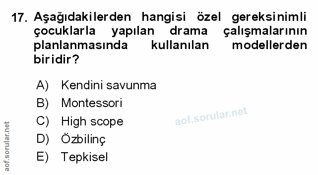 17. soru: Aşağıdakilerden hangisi özel gereksinimli çocuklarla yapılan drama çalışmalarının planlanmasında kullanılan modellerd…