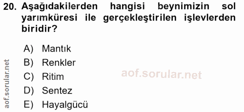 20. soru: Aşağıdakilerden hangisi beynimizin sol yarımküresi ile gerçekleştirilen işlevlerden biridir? A) Mantık B) Renkler C)…