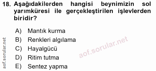 18. soru: Aşağıdakilerden hangisi beynimizin sol yarımküresi ile gerçekleştirilen işlevlerden biridir? A) Mantık kurma B) Renkl…