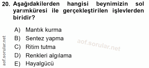 20. soru: Aşağıdakilerden hangisi beynimizin sol yarımküresi ile gerçekleştirilen işlevlerden biridir? A) Mantık kurma B) Sente…