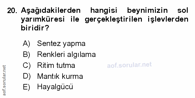 20. soru: Aşağıdakilerden hangisi beynimizin sol yarımküresi ile gerçekleştirilen işlevlerden biridir? A) Sentez yapma B) Renkl…