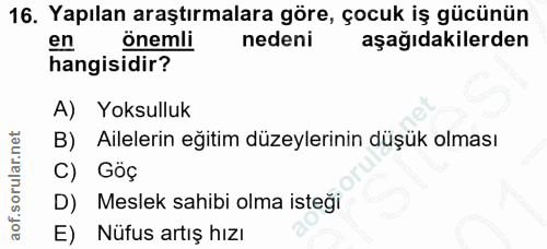 16. soru: Yapılan araştırmalara göre, çocuk iş gücünün en onemli nedeni aşağıdakilerden hangisidir? A) Yoksulluk Ailelerin eğit…