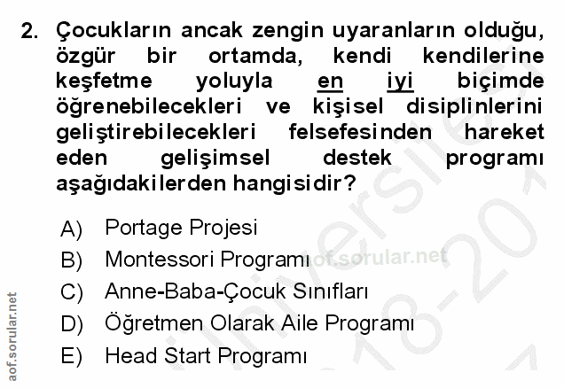 2. soru: Çocukların ancak zengin uyaranların olduğu, özgür bir ortamda, kendi kendilerine keşfetme yoluyla en iyi biçimde öğre…