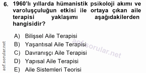 6. soru: 1960'lı yıllarda hümanistik psikoloji akımı ve varoluşçuluğun etkisi ile ortaya çıkan aile terapisi yaklaşımı aşağıda…