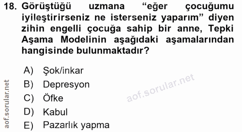 18. soru: Görüştüğü uzmana "eğer çocuğumu iyileştirirseniz ne isterseniz yaparım" diyen zihin engelli çocuğa sahip bir anne, Te…