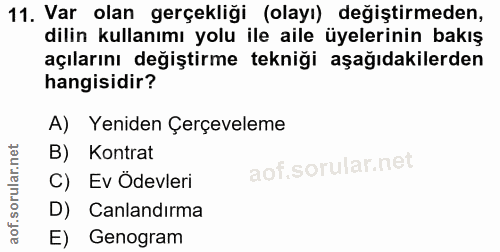 11. soru: Var olan gerçekliği (olayı) değiştirmeden, dilin kullanımı yolu ile aile üyelerinin bakış açılarını değiştirme tekniğ…
