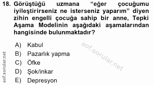 18. soru: Görüştüğü uzmana "eğer çocuğumu iyileştirirseniz ne isterseniz yaparım" diyen zihin engelli çocuğa sahip bir anne, Te…