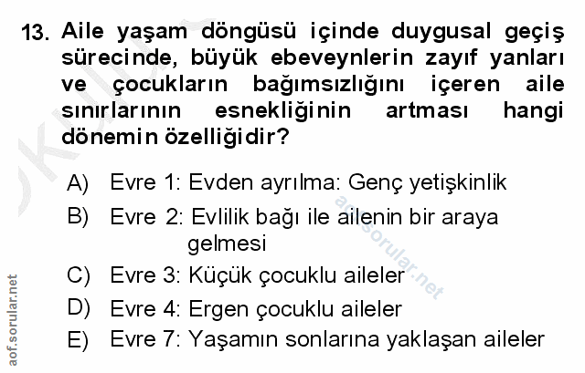 13. soru: Aile yaşam döngüsü içinde duygusal geçiş sürecinde, büyük ebeveynlerin zayıf yanları ve çocukların bağımsızlığını içe…
