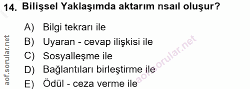 14. soru: Bilişsel Yaklaşımda aktarım nsail oluşur? A) Bilgi tekrarı ile D) Bağlantıları birleştirme ilacrular net B) Uyaran -…