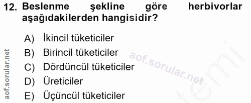 12. soru: Beslenme şekline göre herbivorlar aşağıdakilerden hangisidir? A) Ikincil tüketiciler B) Birincil tüketiciler C) Dördü…