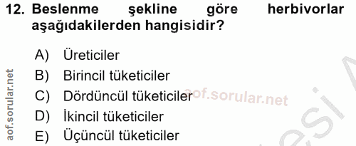 12. soru: Beslenme şekline göre herbivorlar aşağıdakilerden hangisidir? A) Ureticiler B) Birincil tüketiciler C) Dördüncül tüke…