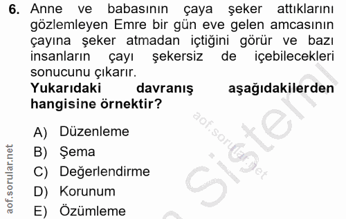 6. soru: Anne ve babasının çaya şeker attıklarını gözlemleyen Emre bir gün eve gelen amcasının çayına şeker atmadan içtiğini g…