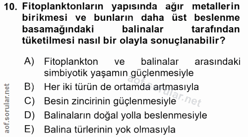 10. soru: Fitoplanktonların yapısında ağır metallerin birikmesi ve bunların daha üst beslenme basamağındaki balinalar tarafında…