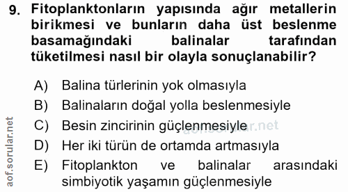 9. soru: Fitoplanktonların yapısında ağır metallerin birikmesi ve bunların daha üst beslenme basamağındaki balinalar tarafında…
