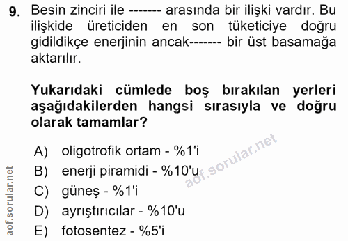 9. soru: Besin zinciri ile --- arasında bir ilişki vardır. Bu ilişkide üreticiden en son tüketiciye doğru gidildikçe enerjinin…