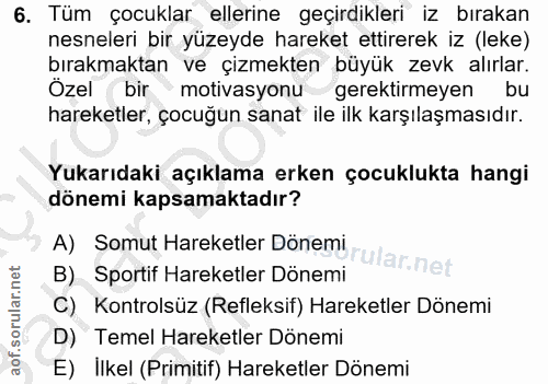 6. soru: Tüm çocuklar ellerine geçirdikleri iz bırakan nesneleri bir yüzeyde hareket ettirerek iz (leke) bırakmaktan ve çizmek…