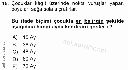 15. soru: Çocuklar kåğıt üzerinde nokta vuruşlar yapar, boyaları sağa sola sıçratırlar. Bu ifade biçimi çocukta en belirgin şek…